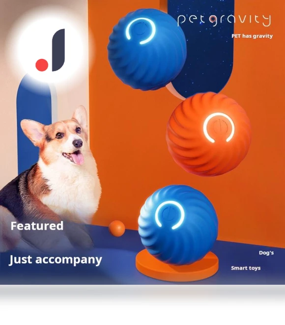 Interactive Gravity Jump Trainer — Interactive Animal Companions, kuanhong