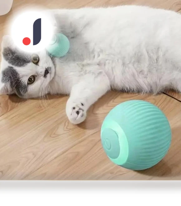 Self-moving Electric Ball for Kittens — Balls, boy