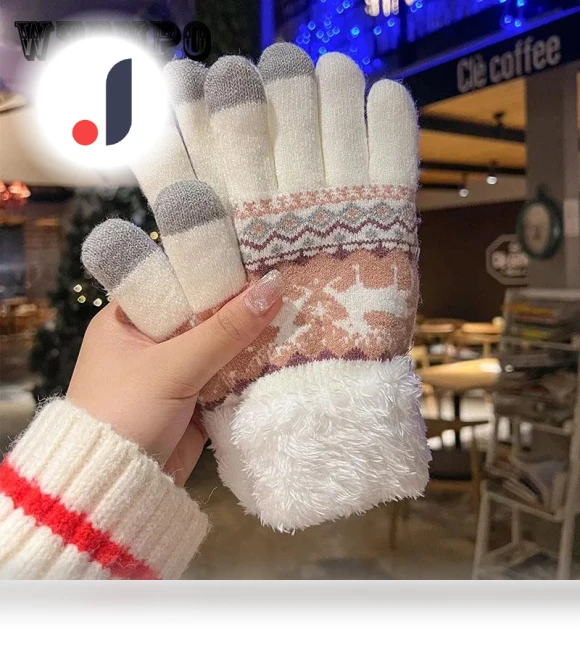 Winter Gloves with Touchscreen Capability — Arm Warmers, WTEMPO