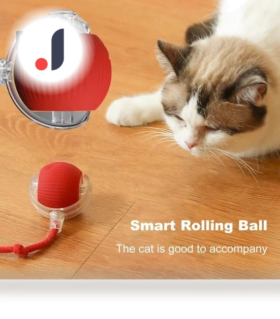 Interactive Cat Toy with Rolling Ball — Cat Playthings, Kitty Cat House