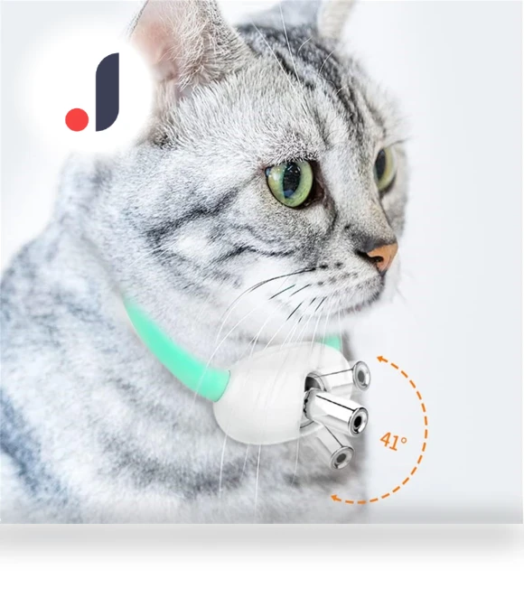Smart teasing collar for cats — Cat Playthings, Salted Chicken