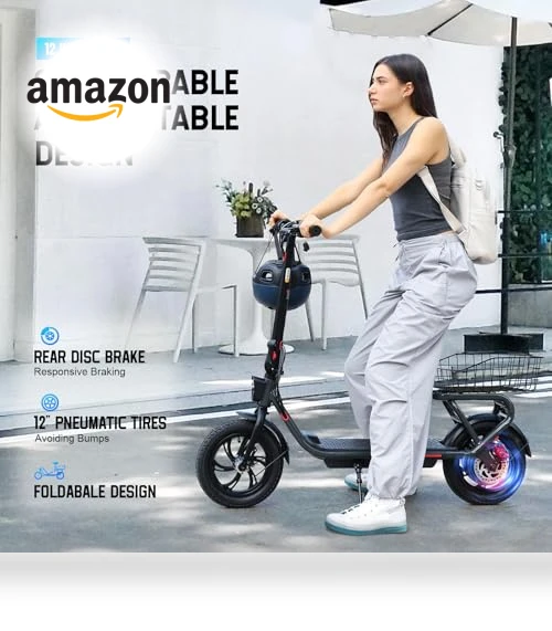 Electric Scooter with Seat — Push Scooters, SISIGAD