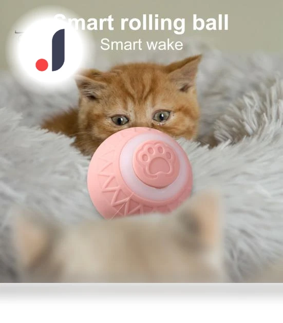 Interactive Cat Ball — Cat Playthings, Pet park