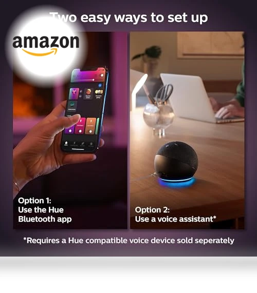 BR30 LED Smart Light Bulbs — Smart Home Modules, Philips Hue