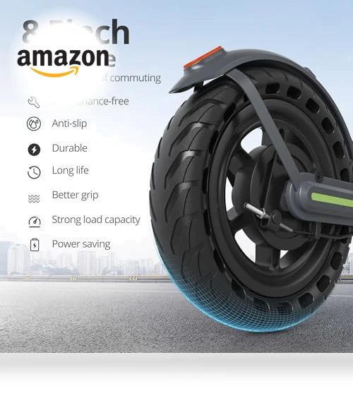 Electric Scooter — Electric Self-Balancing Scooters, Roinside
