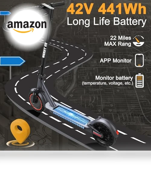 Electric Scooter — Electric Self-Balancing Scooters, WERHY