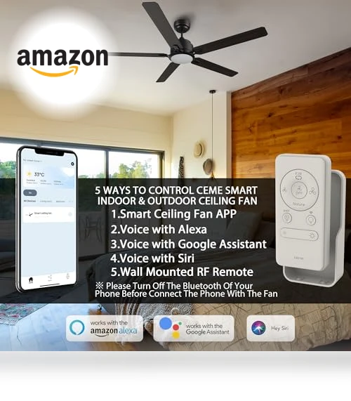 Smart Ceiling Fan with Lights — Ceiling Fan Wall Controls, CEME