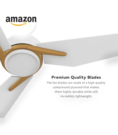 Smart Ceiling Fan with Lights — Ceiling Fan Wall Controls, SMAFAN