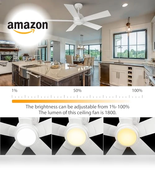 Smart Ceiling Fan with Lights — Ceiling Fans & Accessories, CEME