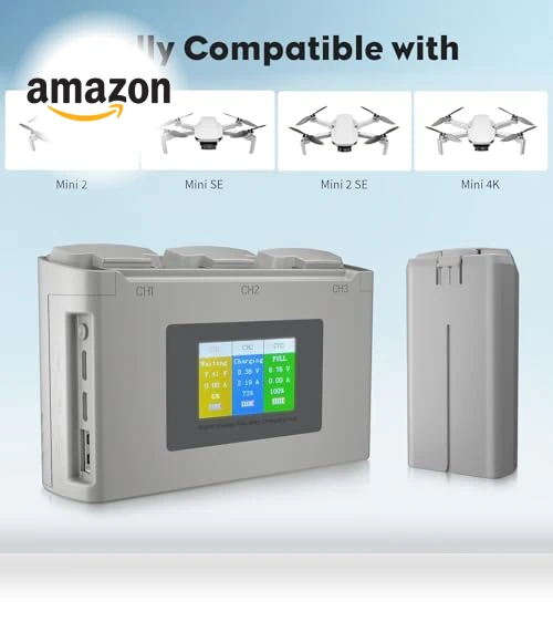 Intelligent Battery with Display Two-Way Charging Hub — Batteries, Aovee