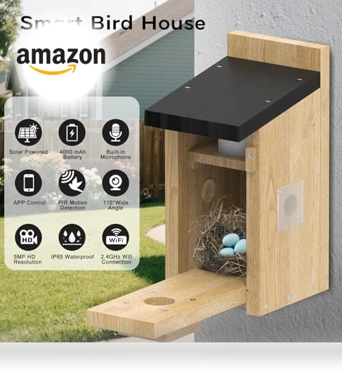 Smart Bird House with Camera — Outdoor & Wildlife Cameras, Hiyiton