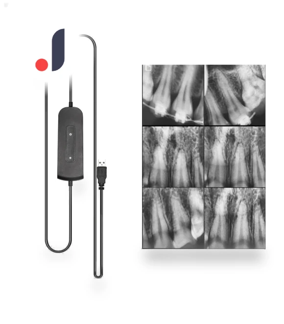Dental Sensor with Holder — Film Processors, Jumtop