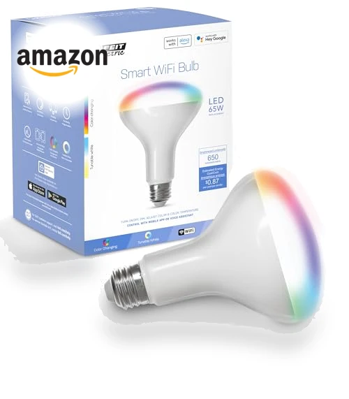 Smart Flood Light Bulb — LED, Feit Electric