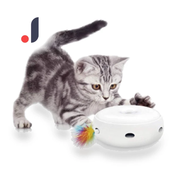Electric Automatic Cat Ball — Cat Playthings, Zen Picks
