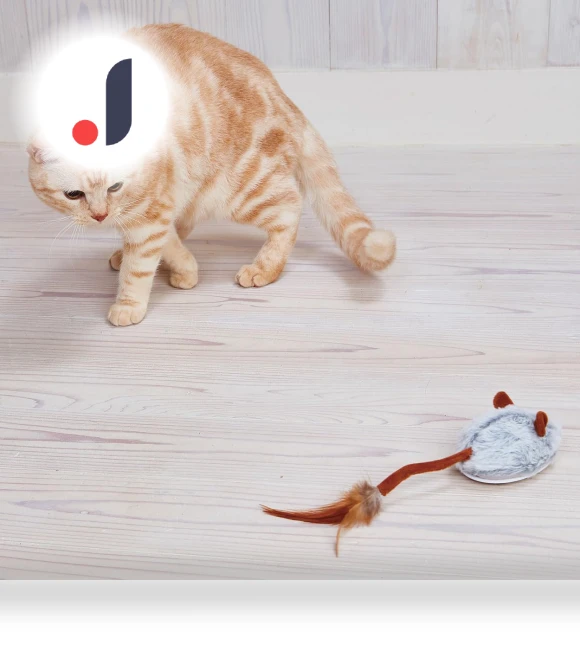 Wild Mouse Robot Mouse Max Self-driving — Mice & Animals, TOKYO selection