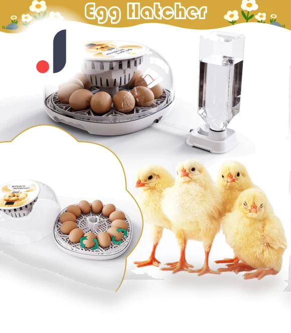 Automatic Egg Turner for Hatching — Egg Cookers, Hong Rose