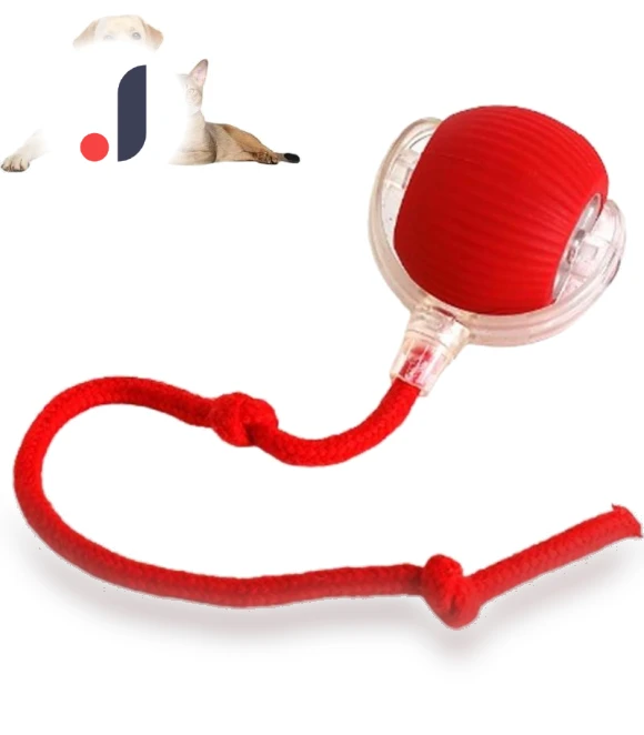 Chewie Ball Rolling Pet Toy — Balls, Diana Pet Stuff