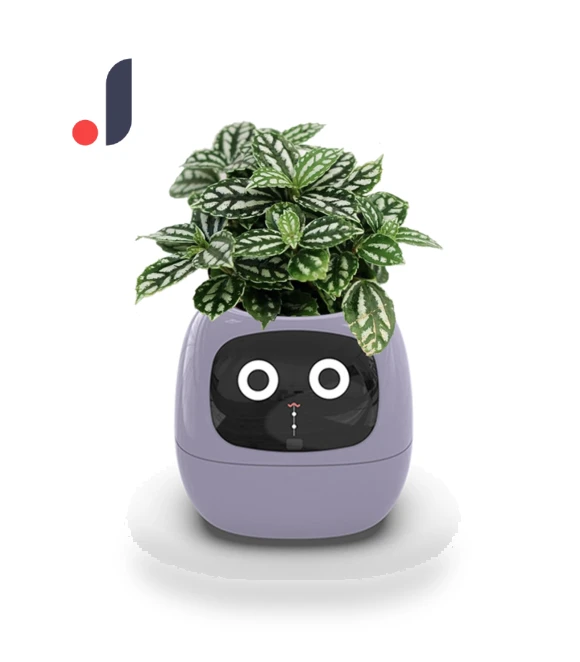 Smart Care Smart LED — Artificial Plants, Premium SPEED