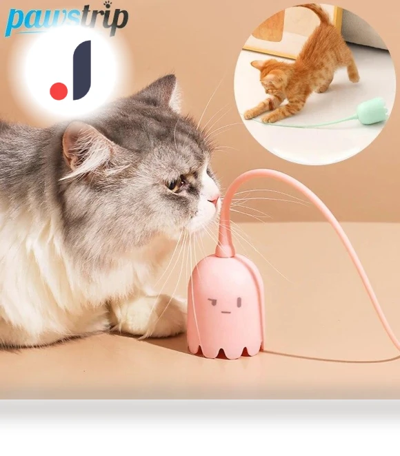 Smart Cat Toy — Cat Playthings, Pawstrip