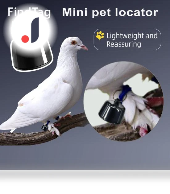 Smart Pet Collar — Trackers, Kitty Cat House