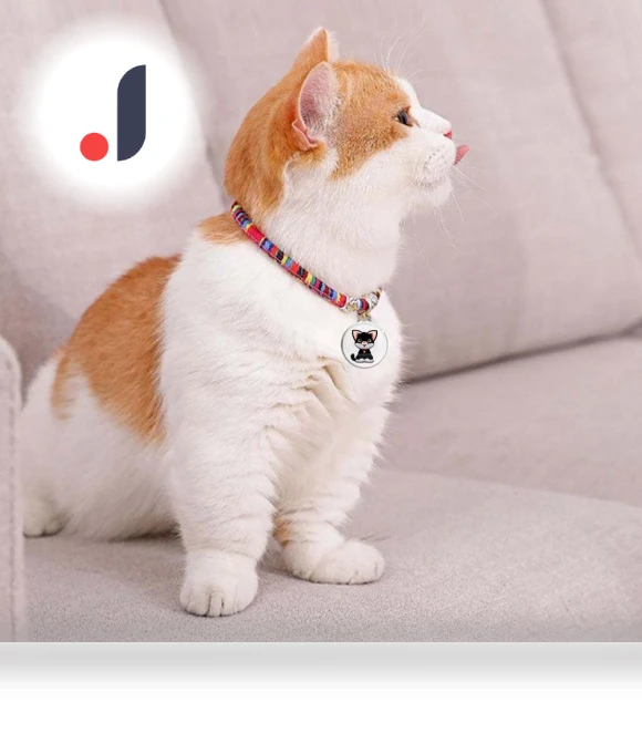 Universal Waterproof Mini GPS Tracker Collar — Item Locators, Good Household Items