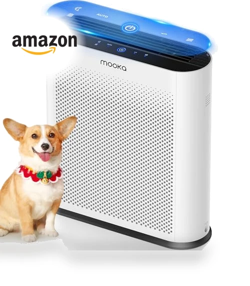 H13 HEPA Air Purifier — Activated Carbon Air Purifiers, Mooka