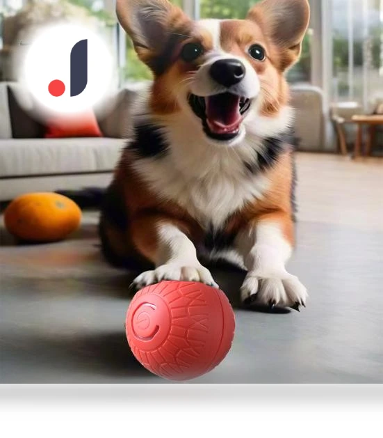 Interactive Smart Ball for Pets — Cat Playthings, Pet park