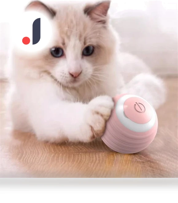 Smart Dog Toys — Automatic Launchers, Boyhood