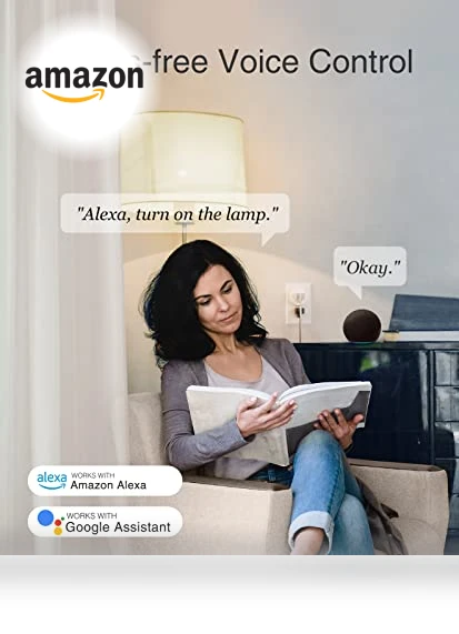 Smart Mini Plug — Smart Home Hubs & Controllers, GHome Smart