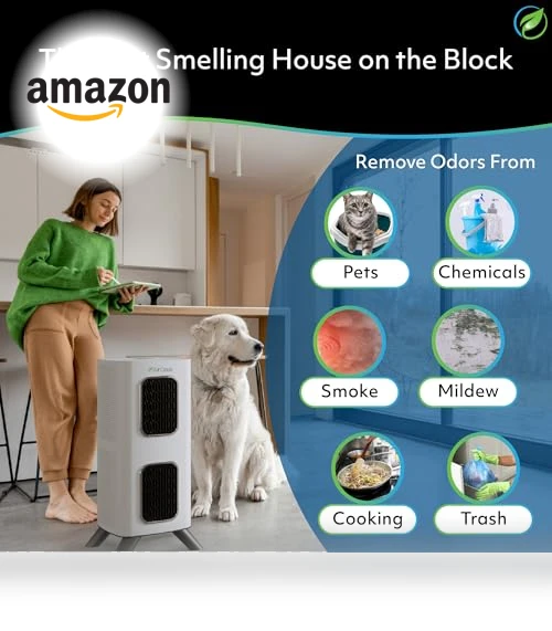 H13 HEPA Filter Air Purifier — Activated Carbon Air Purifiers, Air Oasis