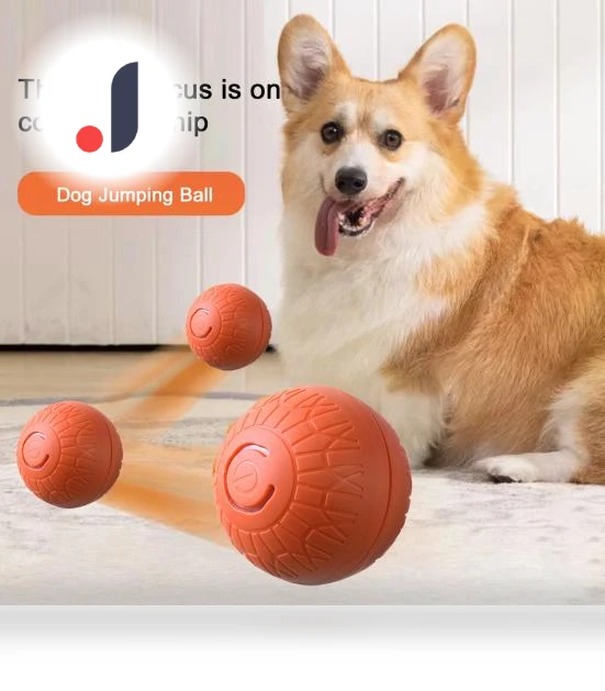 Interactive Smart Ball for Pets — Interactive Animal Companions, Wangpuya