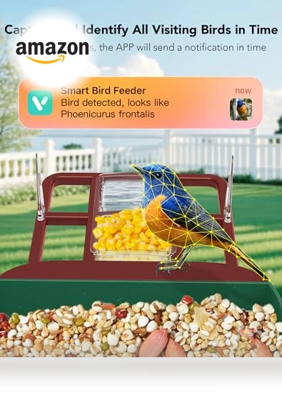 Smart Bird Feeder with Camera — Backyard Birding, Mstulp