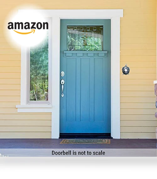 Turtle Doorbell — Push Buttons, Company's Coming
