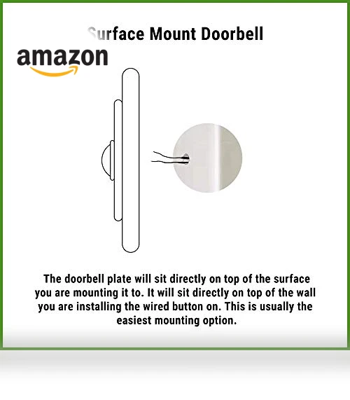 Turtle Doorbell — Push Buttons, Company's Coming