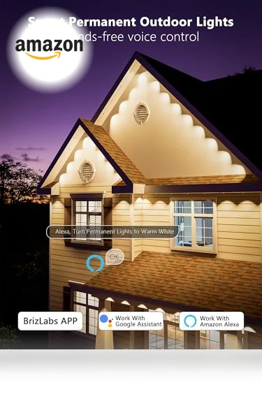 Permanent Outdoor Lights — String Lights, BrizLabs