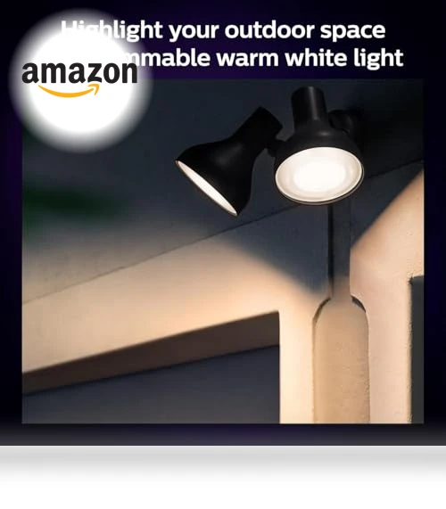 Smart 100W PAR38 LED Bulb - White and Color Ambiance Color-Changing Light — Lighting Solutions, Philips Hue