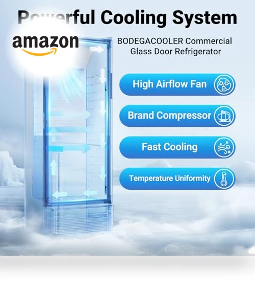 Commercial Beverage Refrigerator and Cooler — Mini Fridges, BODEGA
