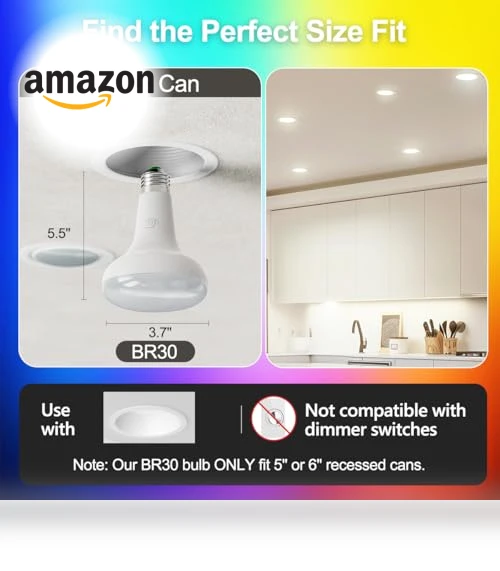 Color Changing LED Flood Light Bulbs — Lighting Solutions, ILC