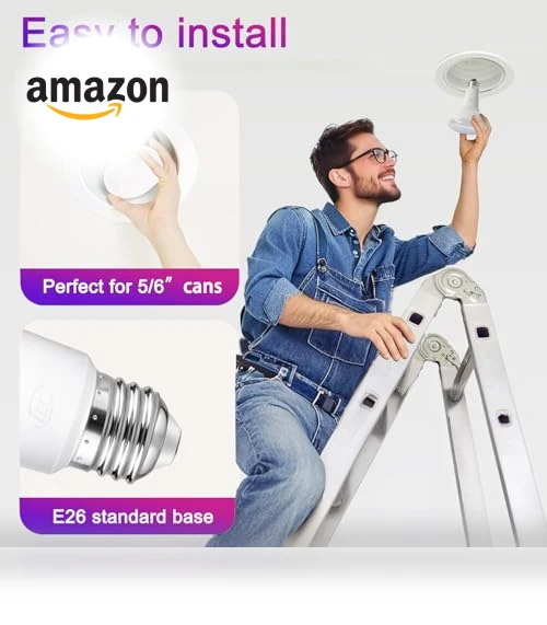 Color Changing LED Flood Light Bulbs — Lighting Solutions, ILC