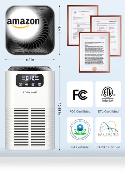Large Room Air Purifier with H13 True HEPA Filter — Activated Carbon Air Purifiers, TDBYWAE