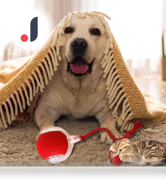 Automatic Smart Cat Toys — Cat Playthings, AE Selection