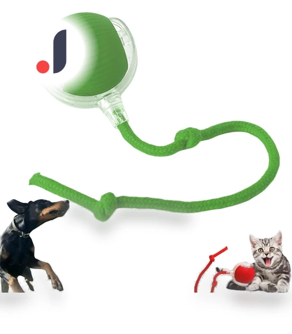Electric Rolling Ball for Pets — Automatic Launchers, Longlish