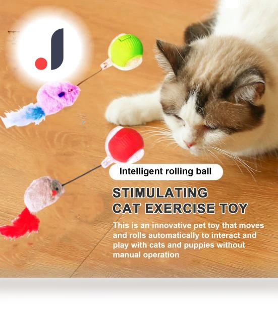 Interactive Cat Toy Ball — Cat Playthings, Talos home Garden