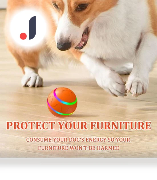 Interactive Smart Ball for Dogs — Balls, Love Pet House