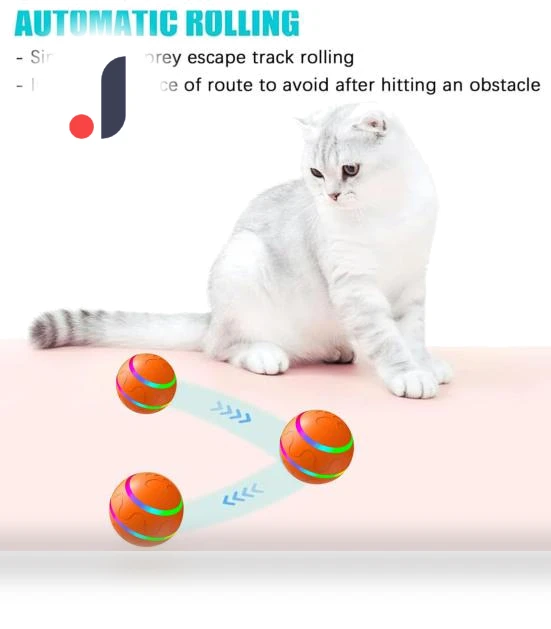 Interactive Smart Ball for Dogs — Balls, Yoga Da