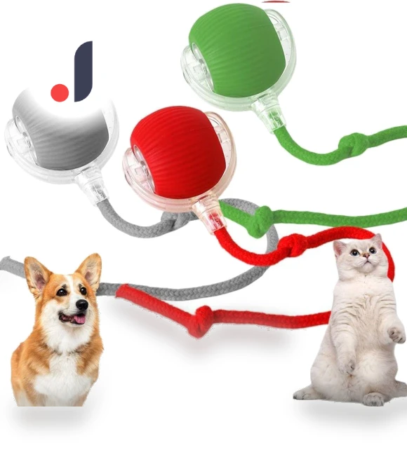 Rechargeable Electric Cat Toy Ball — Cat Playthings, Chengruike