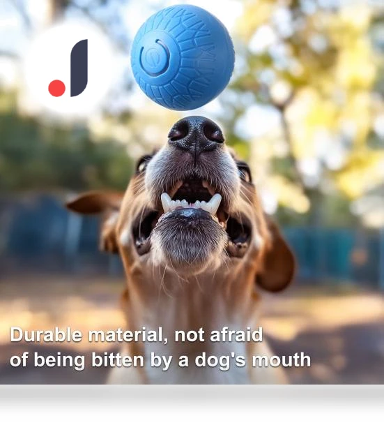 Interactive Rolling Ball Toy for Dogs — Automatic Launchers, The Secret Life of Pet