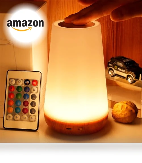 Dimmable Touch Lamp — Lamps & Shades, THAUSDAS