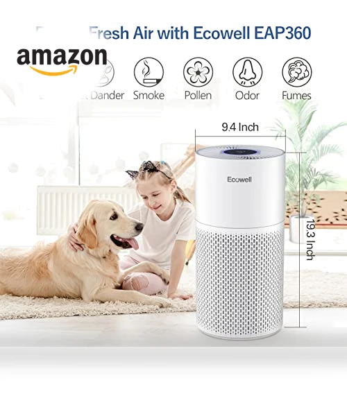 Large Room Air Purifier with Air Quality Sensor — Activated Carbon Air Purifiers, ECOWELL
