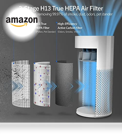 Large Room Air Purifier with Air Quality Sensor — Activated Carbon Air Purifiers, ECOWELL